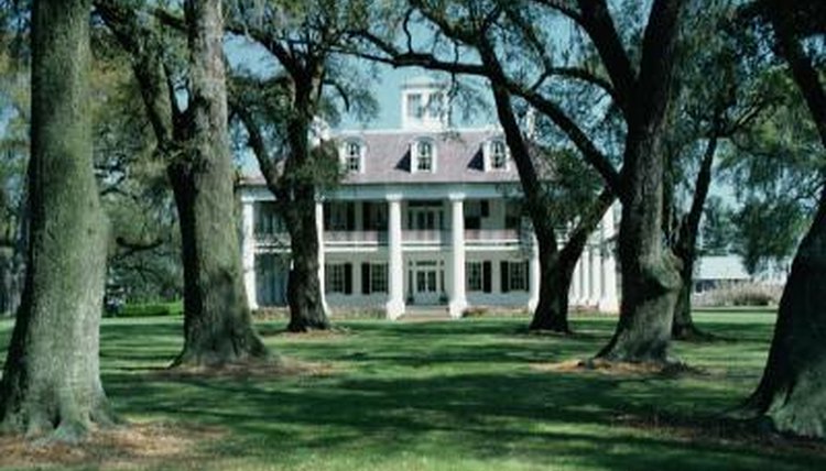 Many Southern colonies grew tobacco and rice for export.