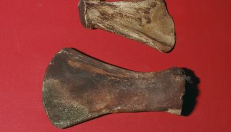 Prehistoric scrappers
