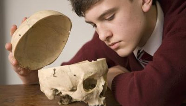 Follow the college-bound academic course track in high school.