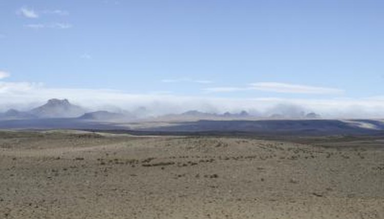  how do desert plants adapt to their environment sciencing
