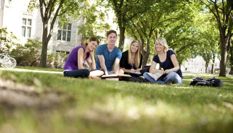 A cheerful group of college students sitting on lawn studying.