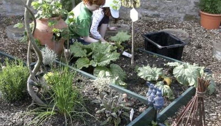 Two young students tend to a school garden.
