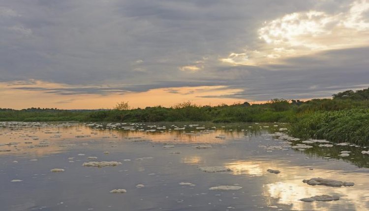 The Nile extends through Uganda.
