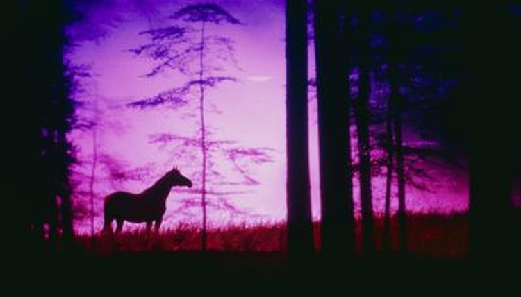 Figuratives and Horse's Hooves