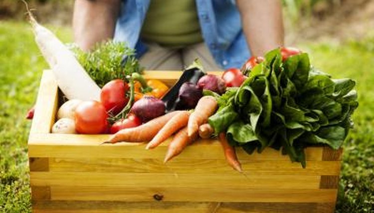Box of fresh vegetables in garden