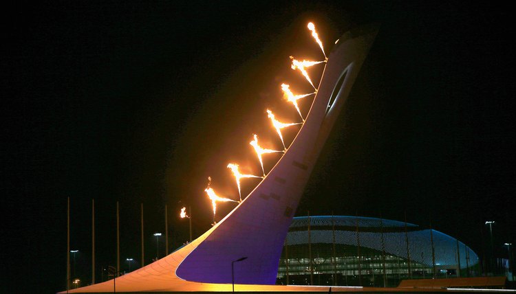The 2014 Olympic Winter Games: Snapshots