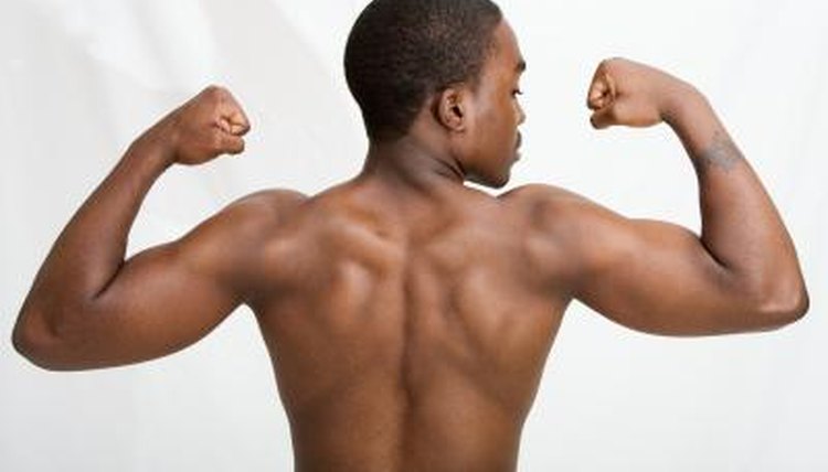 Back & Biceps Workout for Mass