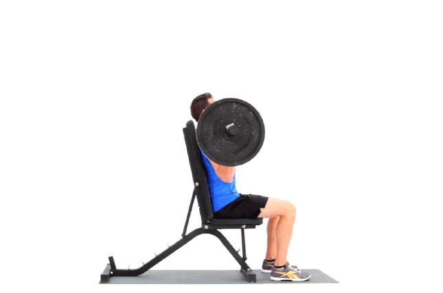 Being seated means you should be able to lift more weight than standing.