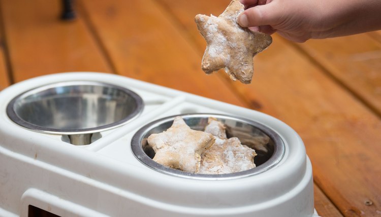 DIY Icing For Natural Dog Treats Dog Care Daily Puppy