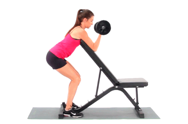 How To Do Dumbbell Preacher Curl: Muscles Worked Proper, 55% OFF