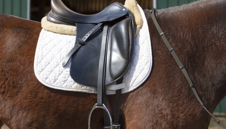 how-to-measure-english-saddles-animals-mom-me