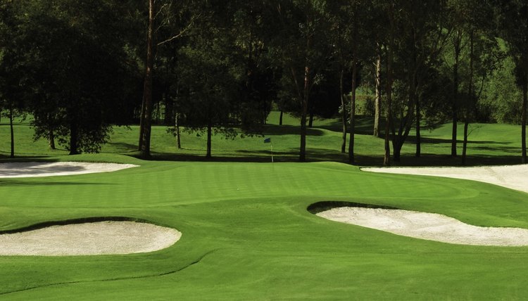 A typical fairway with mown stripes.