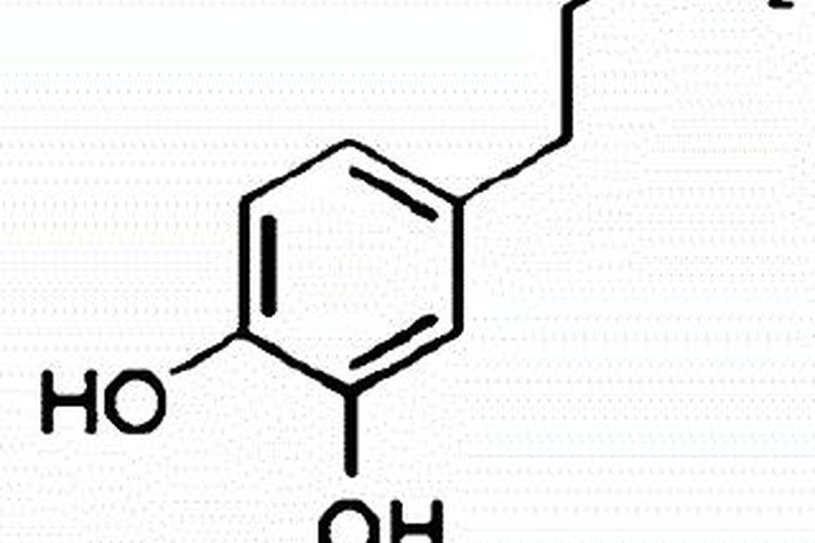 Estructura química de la dopamina, un neurotransmisor.