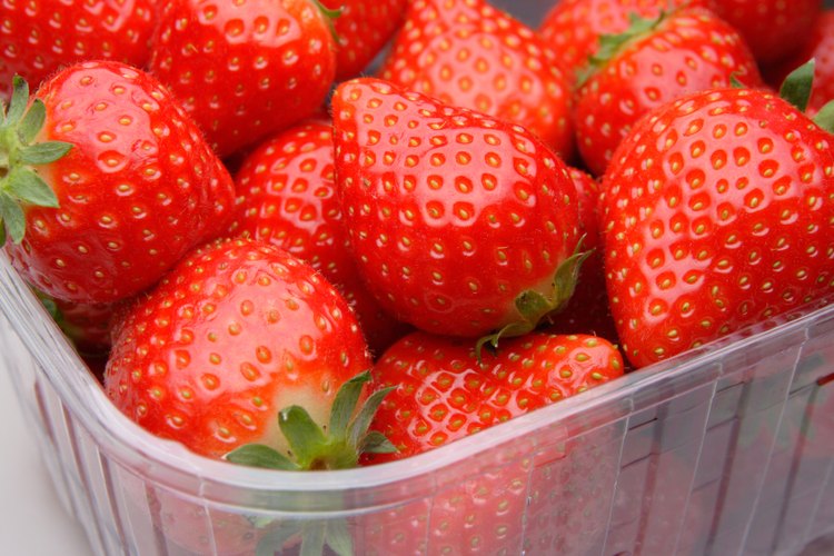 Los alimentos frescos comienzan a perder su sabor y nutrientes tan pronto son recogidos, usualmente madurando de más mientras se encuentran en el cajón de transporte.
