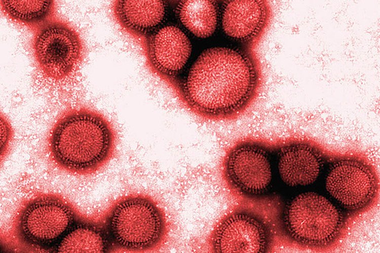 El virus de la gripe puede viajar a tu cuerpo si tocas un objeto infectado.
