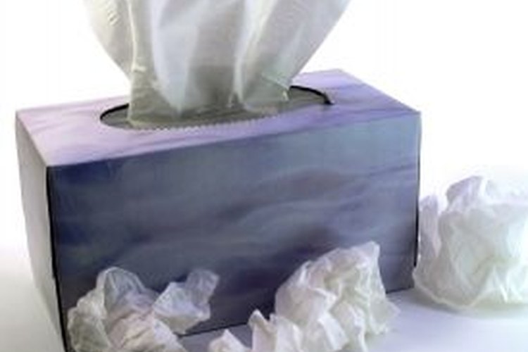 Pañuelos de papel.