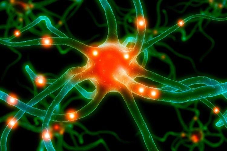 Resultado de imagen de neuralgia