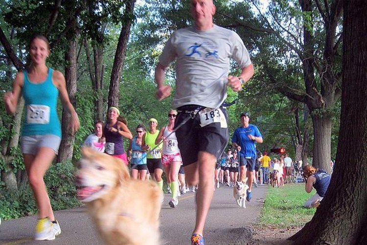 Compite en una carrera con tu perro.