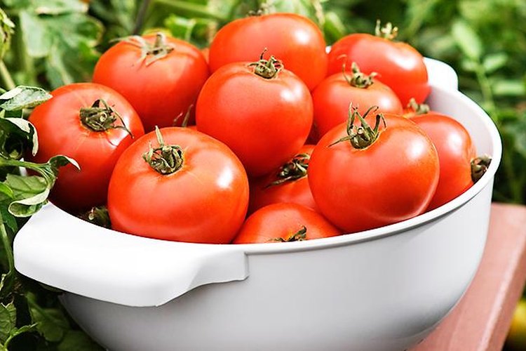 Tomates.