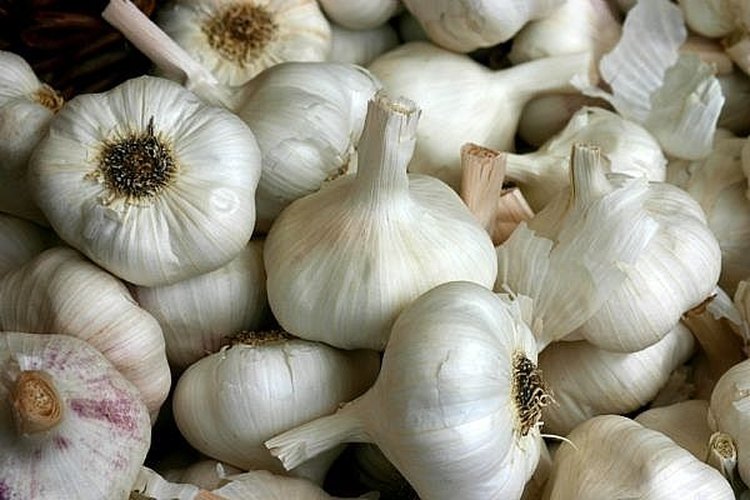 How to Use Garlic as an Antibiotic | LEAFtv