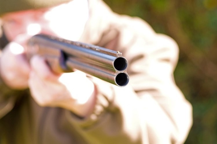 Aimed shotgun, with depth of field image by cdbdi from Fotolia.com Bore sight your shotgun.