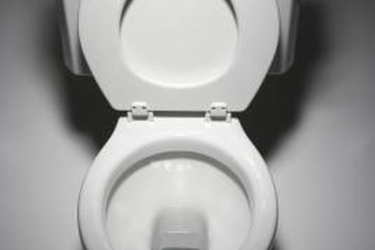 Stockbroker/Valueline/Getty Images Install a Glacier Bay toilet in your home.