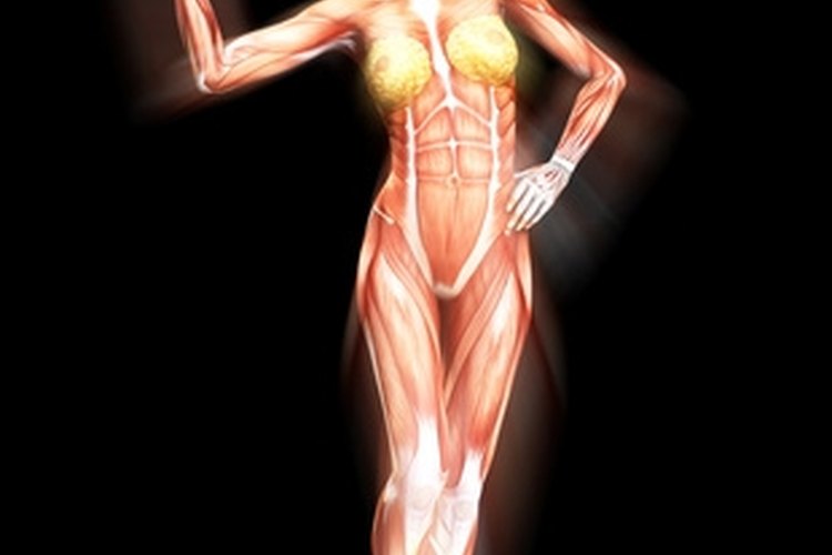 Building lean muscle will create a lithe appearance.