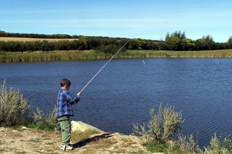 boy fishing on lake image by Hicster from Fotolia.com Peterborough makes a convenient base for many fishing expeditions.