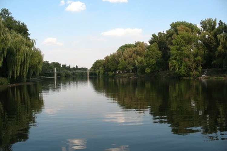 River image by Ð'и'‚алий from Fotolia.com Flatfish lures can be used to catch a wide variety of river-dwelling fish.