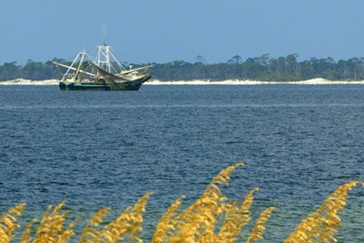 shrimp boat image by MPH from Fotolia.com Make your own shrimp traps for recreation in the Gulf.