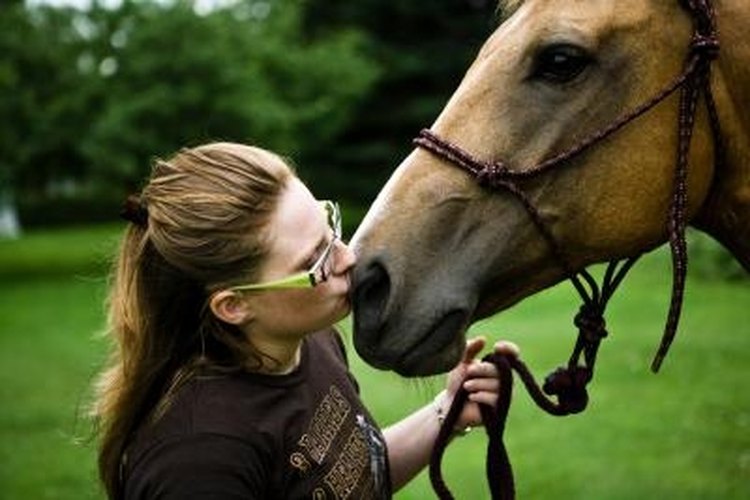 Jupiterimages/Photos.com/Getty Images Rope halters can be adjusted to fit individual horses.