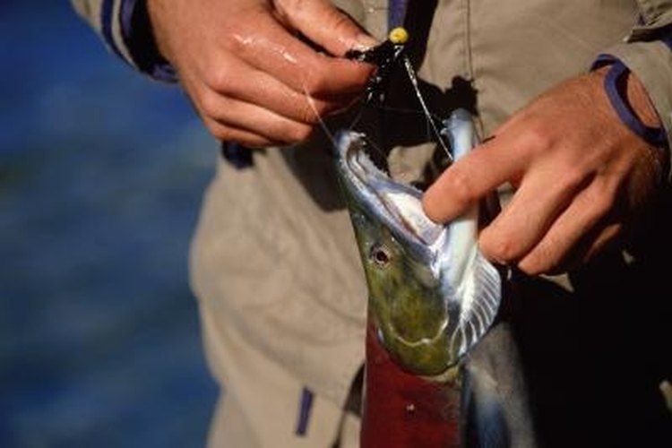 Jupiterimages/liquidlibrary/Getty Images You can attract fish to your hook using a homemade fish bait.