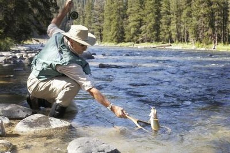 Stephen Schauer/Photodisc/Getty Images A fisherman netting a hooked trout.