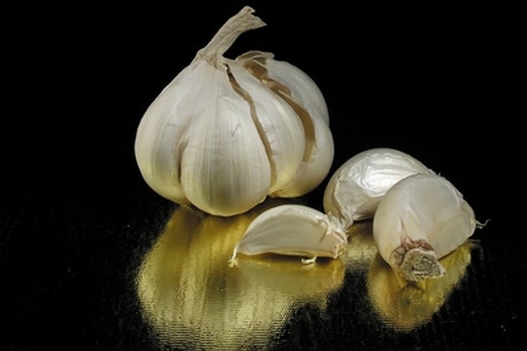 How To Use Garlic To Treat Boils Leaftv