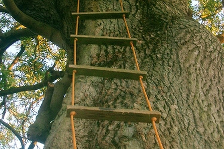 Ladder ropes are a classic tree house accessory.