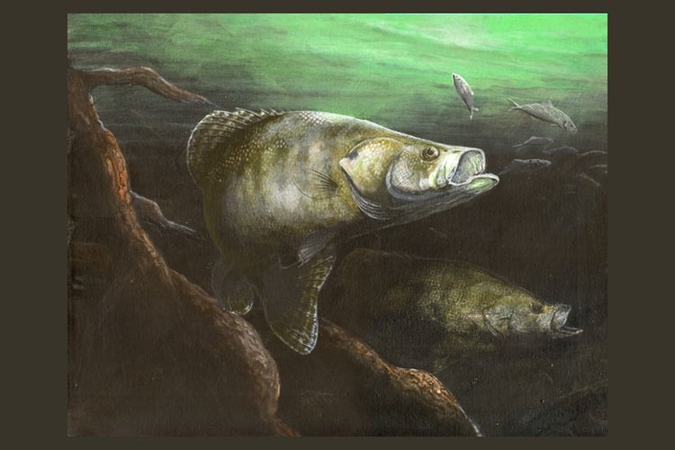 www.donhechesky.com Crappies love minnows