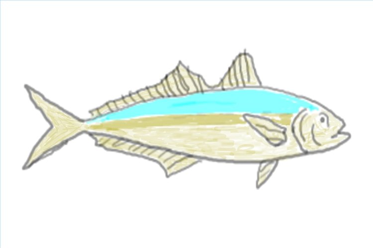 All Images by Daniel Ray Cigar Minnow