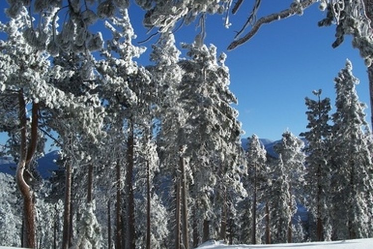 Snow image by Serenitie from Fotolia.com Blend in with the environment.