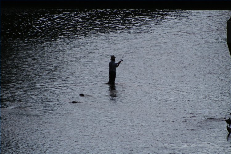 Fishing in a stream.