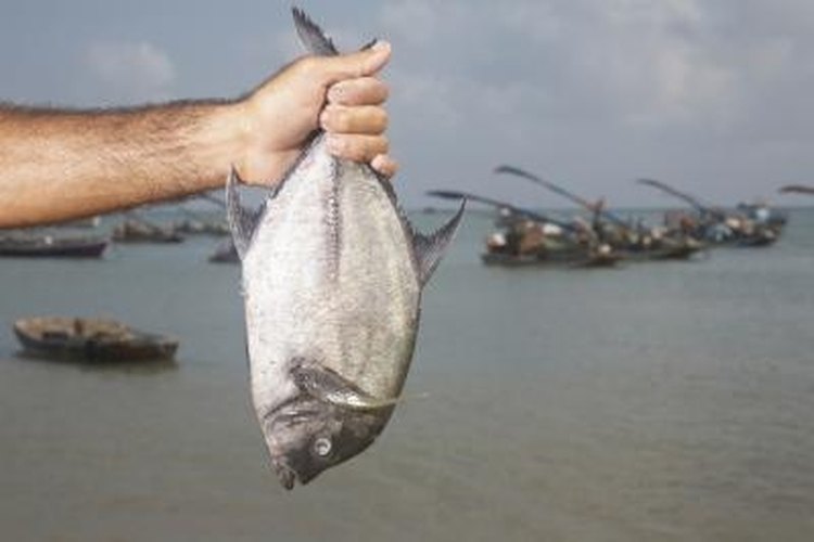 Kim Carson/Photodisc/Getty Images Anglers often catch pompano in the surf on beaches.