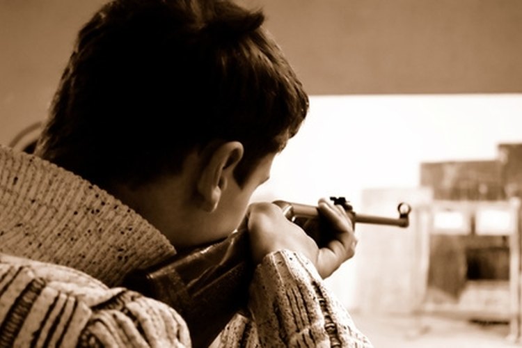 sport shooting image by Kostyantyn Ivanyshen from Fotolia.com A rifle with open sights