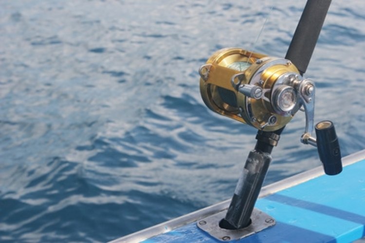 fishing reel image by Gina Smith from Fotolia.com Penn brand fishing reels have helped fishermen break records.