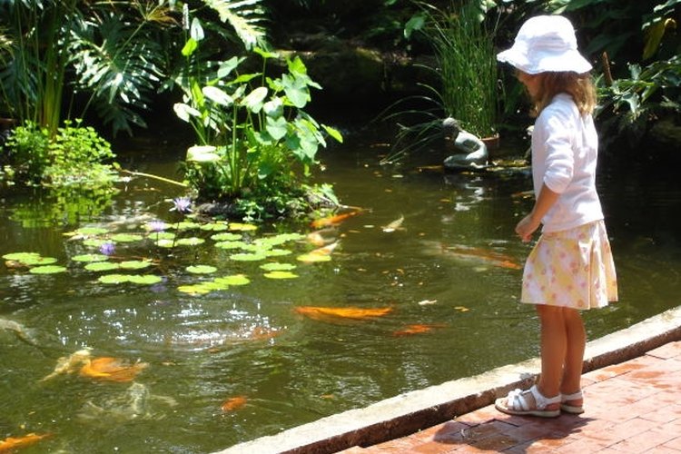 Not all fish are this easy to find, unless you have a Vexilar.
