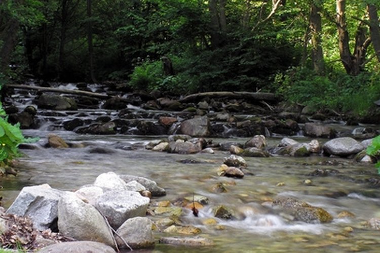 stream image by Marek Kosmal from Fotolia.com Just because the water looks clean does not mean it is safe to drink.