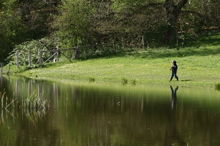 lake image by jeancliclac from Fotolia.com Ponds and small lakes are ideal bass and bluegill spots.