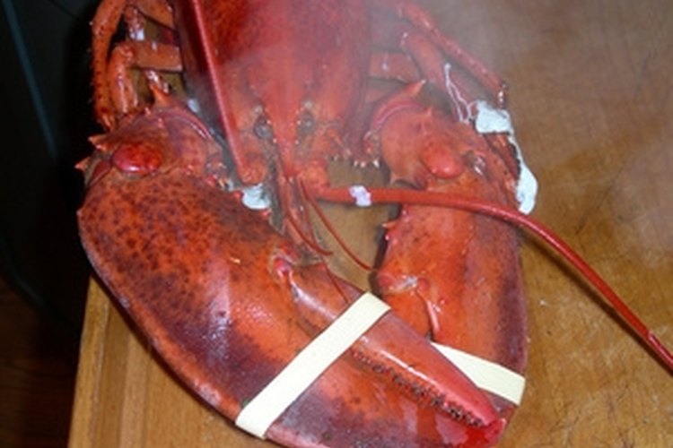 lobster image by jedphoto from Fotolia.com Ugly and delicious