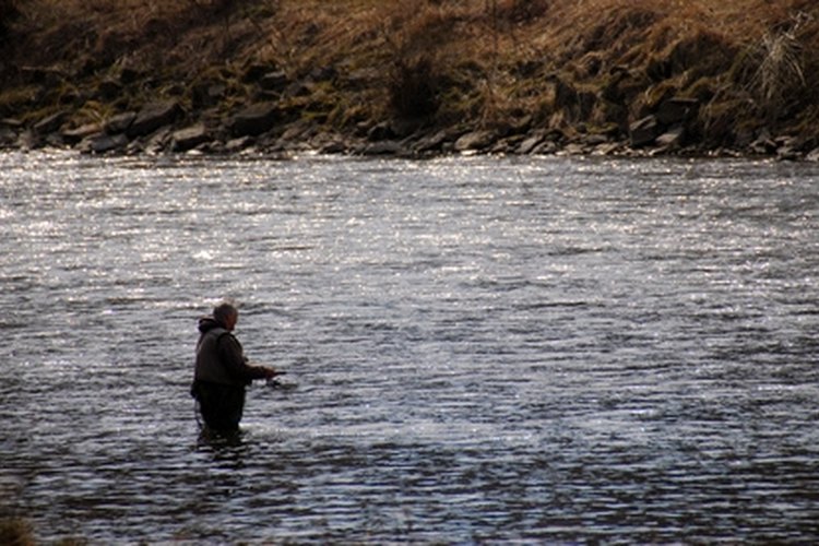 fishing image by Zbigniew Nowak from Fotolia.com Washougal River is visited by migrating steelhead and coho salmon each year.