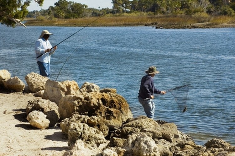 How to Fish for Salmon on the Sacramento River | Gone Outdoors | Your Adventure Awaits