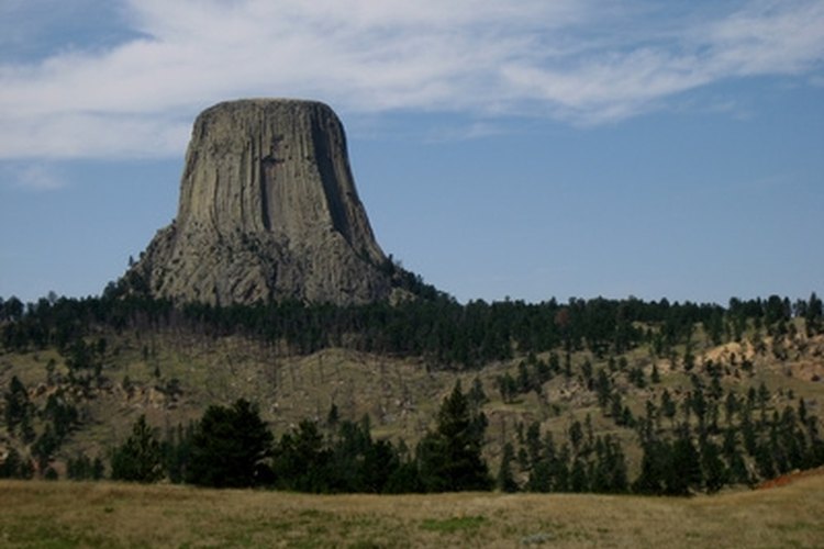 Northern Plains Wyoming Devils Tower image by Jennifer LaFleur from Fotolia.com Wyoming has lots of wide open spaces and habitat that make for a strong deer population.