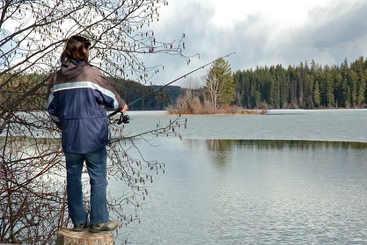 man holding fishing rod at a lake, with nice scenery. image by SZILAGYI ANNAMARIA from Fotolia.com Making an electronic fishing pole can teach students about the properties of electromagnetism.